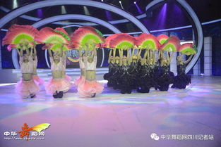 舞韻綻芳華，星光啟航藝術(shù)培訓(xùn)學(xué)校攜《陌上花開(kāi)》亮相四川廣播電視臺(tái)超級(jí)新秀場(chǎng)